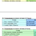 Фото розробки: Комплексна ПР. 6 клас. Українська мова “Іменник (частина 1)” ГР 1, ГР 2, ГР 3, ГР 4 (МНП Голуб)