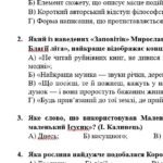 Фото розробки: ГР 4. Підсумкова (діагностична) робота. 6 клас. Укр. література. “Різдвяні дива” (МНП Яценко; підручник Калинич) 2 варіанти