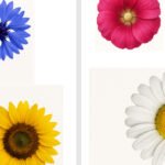 Фото розробки: 16 днів проти насильства-2025. Артінсталяція «Ключі до безпечного світу»