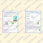 Фото розробки: Робочий аркуш до теми: “Фотосинтез: світлова і темнова фази”. Біологія 9 клас