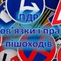 Презентація. Обов’язки і права пішоходів