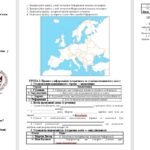 Фото розробки: Діагностична робота з всесвітньої історії Пометун О. 8 клас тема «Світ ідей. Відродження. Реформація. Бароко».