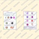 Фото розробки: Лабораторне дослідження “Дослідження мікроскопічної будови кісткової, хрящової та м’язової тканин”. Біологія 8 клас НУШ