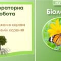 Лабораторна робота “Дослідження кореня та видозмін кореня”. Біологія 7 клас НУШ