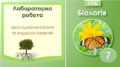Лабораторна робота “Дослідження кореня та видозмін кореня”. Біологія 7 клас НУШ