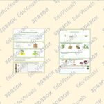 Фото розробки: Робочий аркуш “Вегетативні органи рослини. Корінь”. Біологія 7 клас НУШ