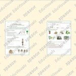 Фото розробки: Лабораторна робота “Дослідження кореня та видозмін кореня”. Біологія 7 клас НУШ