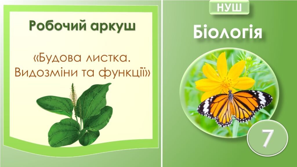 Головне зображення розробки: Робочий аркуш “Будова та функції листка. Видозміни листка”. Біологія 7 клас НУШ