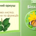 Робочий аркуш “Будова та функції листка. Видозміни листка”. Біологія 7 клас НУШ