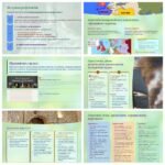 Фото розробки: Презентація 8 клас НУШ § 23. Міжнародні відносини. Поділи Речі Посполитої