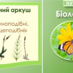 Робочий аркуш “Плауноподібні. Хвощеподібні”. Біологія 7 клас НУШ