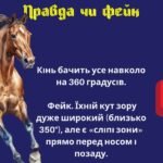 Фото розробки: Новий 2026 рік Червоного Вогняного Коня. Новорічний калейдоскоп: ігри та вікторини «Галопом до знань» . Новий Рік 2026.