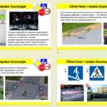 Фото розробки: Презентація. Обов’язки і права пішоходів
