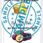 Фото розробки: “Фруктові чистомовки”