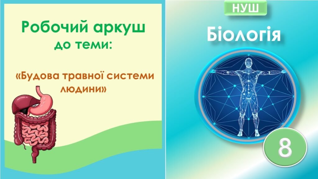 Головне зображення розробки: Робочий аркуш до теми “Будова та функції травної системи людини”. Біологія 8 клас НУШ