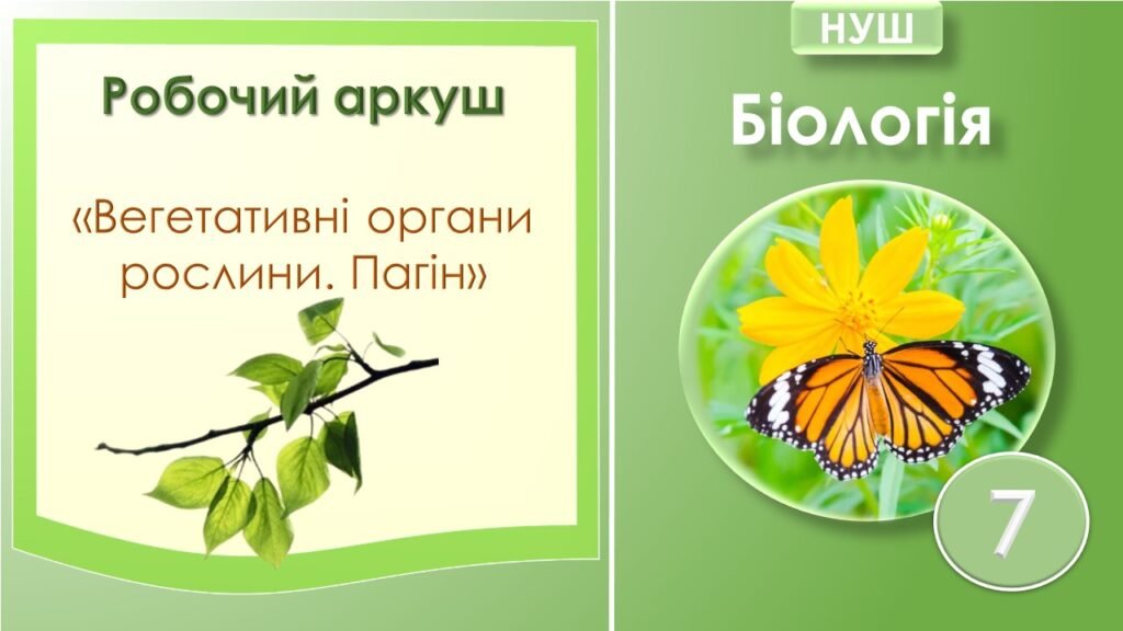 Головне зображення розробки: Робочий аркуш “Вегетативні органи рослини. Пагін”. Біологія 7 клас НУШ