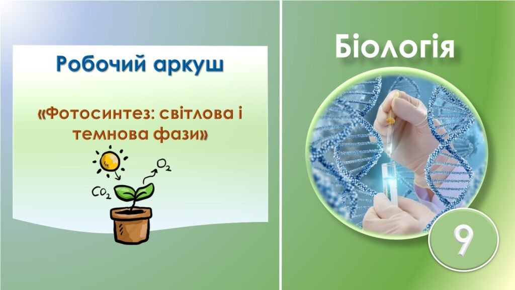 Головне зображення розробки: Робочий аркуш до теми: “Фотосинтез: світлова і темнова фази”. Біологія 9 клас