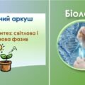 Робочий аркуш до теми: “Фотосинтез: світлова і темнова фази”. Біологія 9 клас