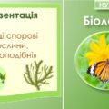 Презентація до теми: “Вищі спорові рослини. Мохоподібні”. Біологія 7 клас НУШ
