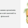 Презентація на тему: “Будова живих організмів: подорож в світ анатомії та фізіологіЇ”