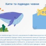 Фото розробки: Презентація на тему: “Винаходи людства, запозичені у природи”