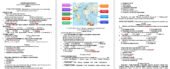 ПКР з всесвітньої історії 8 клас НУШ за І семестр. Підходить до авторів Щупак І., Пометун О, Ладиченко Т.