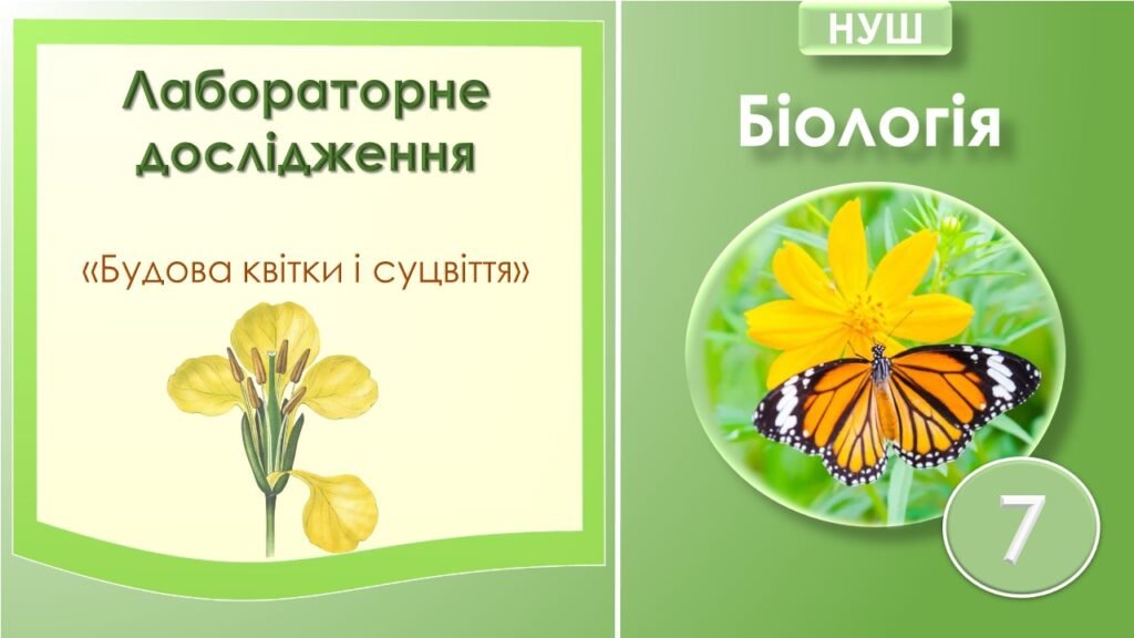 Головне зображення розробки: Лабораторне дослідження “Будова квітки і суцвіття”. Біологія 7 клас НУШ