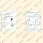 Фото розробки: Лабораторне дослідження “Будова квітки і суцвіття”. Біологія 7 клас НУШ