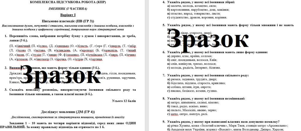 Головне зображення розробки: Комплексна підсумкова робота за темою “Іменник” (І частина) для 6 класу