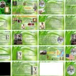 Фото розробки: Місце В. Вітмена в літературному процесі США. Особливості світобачення митця. Зв’язок збірки «Листя трави» з історією та життям Америки