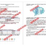 Фото розробки: Комплексна підсумкова контрольна робота за 1 семестр «Вступ до історії та громадянської освіти» (за підручником І. Щупака)