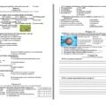 Річна контрольна робота з біології і екології (екстернат) 11 клас