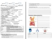 Діагностична робота Біологія 8 клас НУШ Тема 6. Дихальна система та газообмін