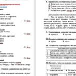 Фото розробки: ГР 4. Підсумкова робота за рік (екстернатна форма навчання). Українська мова. 8 клас НУШ (МНП: Заболотний О. В. та ін.)