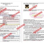 Фото розробки: Діагностична контрольна робота з теми «Давня Греція та її сусіди» (О.Пометун) за групами результатів