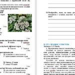 Фото розробки: Комплексна підсумкова робота за рік. Українська мова. 6 клас НУШ (підручник: Авраменко О. М. та ін.)