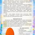 Фото розробки: Пізнавальні ігри з геометричного конструктора: Танграм, Яйце Колумба, Монгольська гра