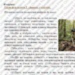 Фото розробки: ГР 2. Підсумкова робота. 5 кл. Українська мова. “Однорідні ЧР, звертання, вставні слова, складне речення, пряма мова, діалог” 2 варіанти