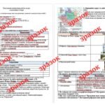 Фото розробки: Підсумкова контрольна робота за рік з всесвітньої історії 8 клас (за підручником І. Щупака) екстернат