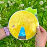 Фото розробки: Круг Луллія “ЖИТТЄВИЙ ЦИКЛ КУЛЬБАБКИ”