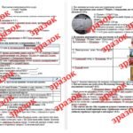 Фото розробки: Підсумкова контрольна робота за рік з історії України 7 клас (за підручником Г. Хлібовської)