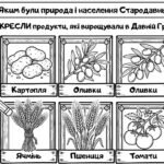 Фото розробки: Матеріали для роботи з учнями ООП 6 клас історія Пометун О. (модифікована програма 4 і 5 рівень) Тема 3. Антична грецька цивілізація та її сусіди (час