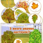 Дидактична гра “З якого дерева листочок?”