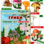 Демонстраційний матеріал “Гриби їстівні отруйні”