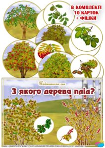 Дидактична гра “З якого дерева плід”