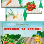 Дидактична гра “Верхівки та корінці”