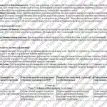 Фото розробки: 6 кл.Інформатика. Адаптована навчальна програма для учня ООП (ІV рівень підтримки)за підр. «Інформатика. 6 клас» (автори: Морзе Н. В., Барна О. В.)