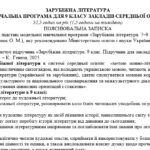 Фото розробки: Навчальна програма «Зарубіжна література 9 клас» для закладів загальної середньої освіти (авт. Волощук Є. В., Слободянюк О. М.) 52 год