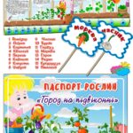 Паспорт рослин “Город на підвіконні”