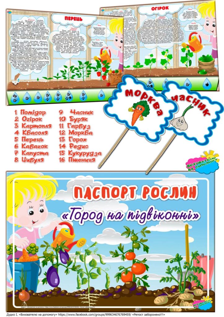 Головне зображення розробки: Паспорт рослин “Город на підвіконні”